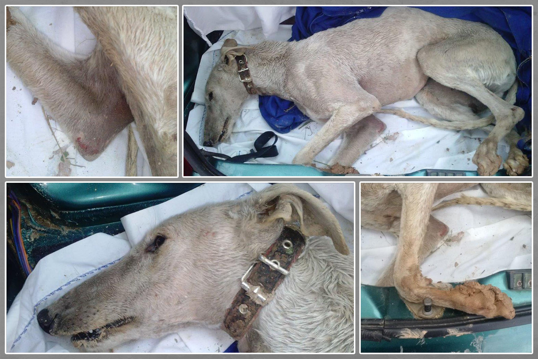 Benito_Spanien_Collage