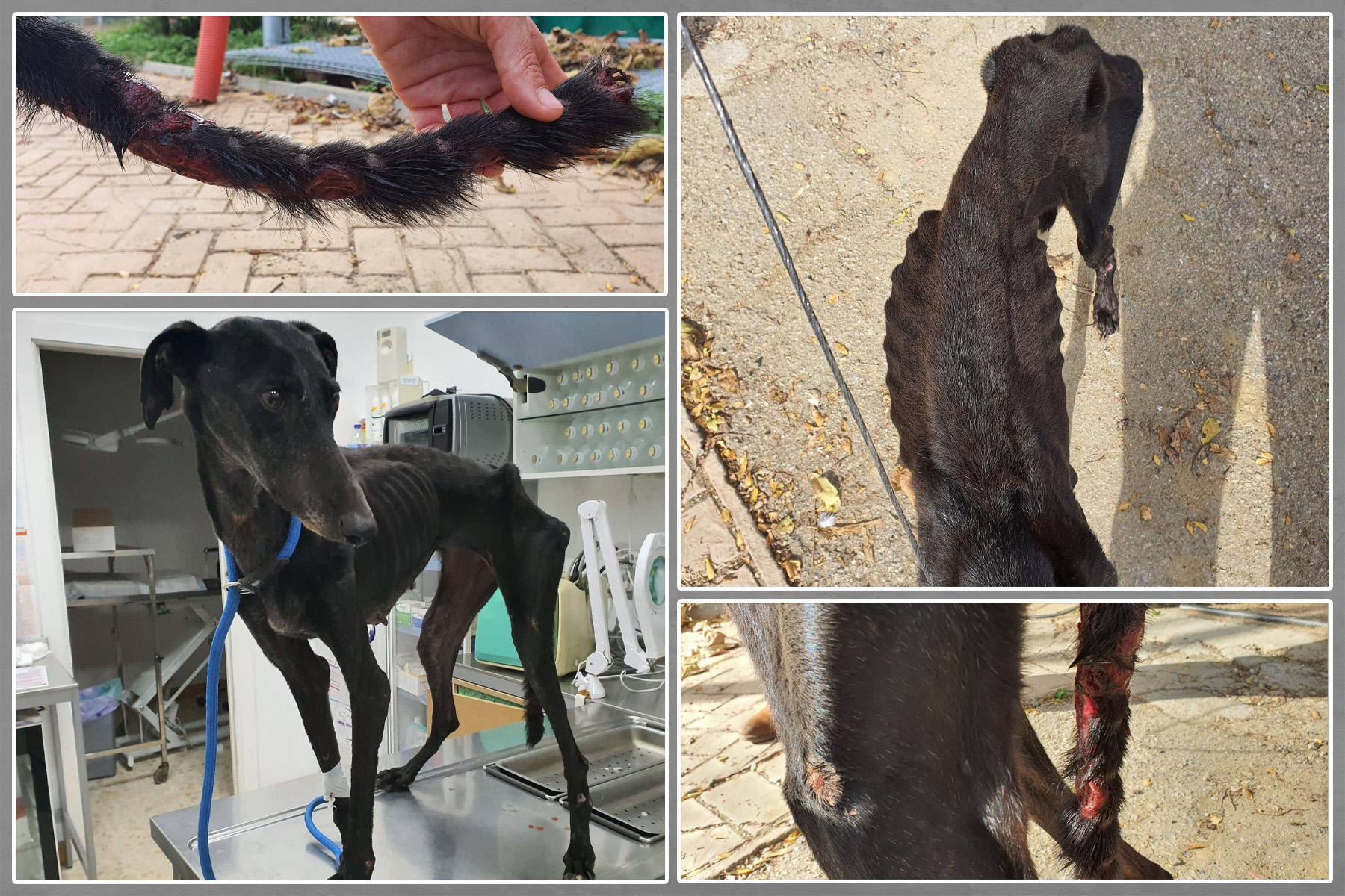 Lara_Spanien_Collage